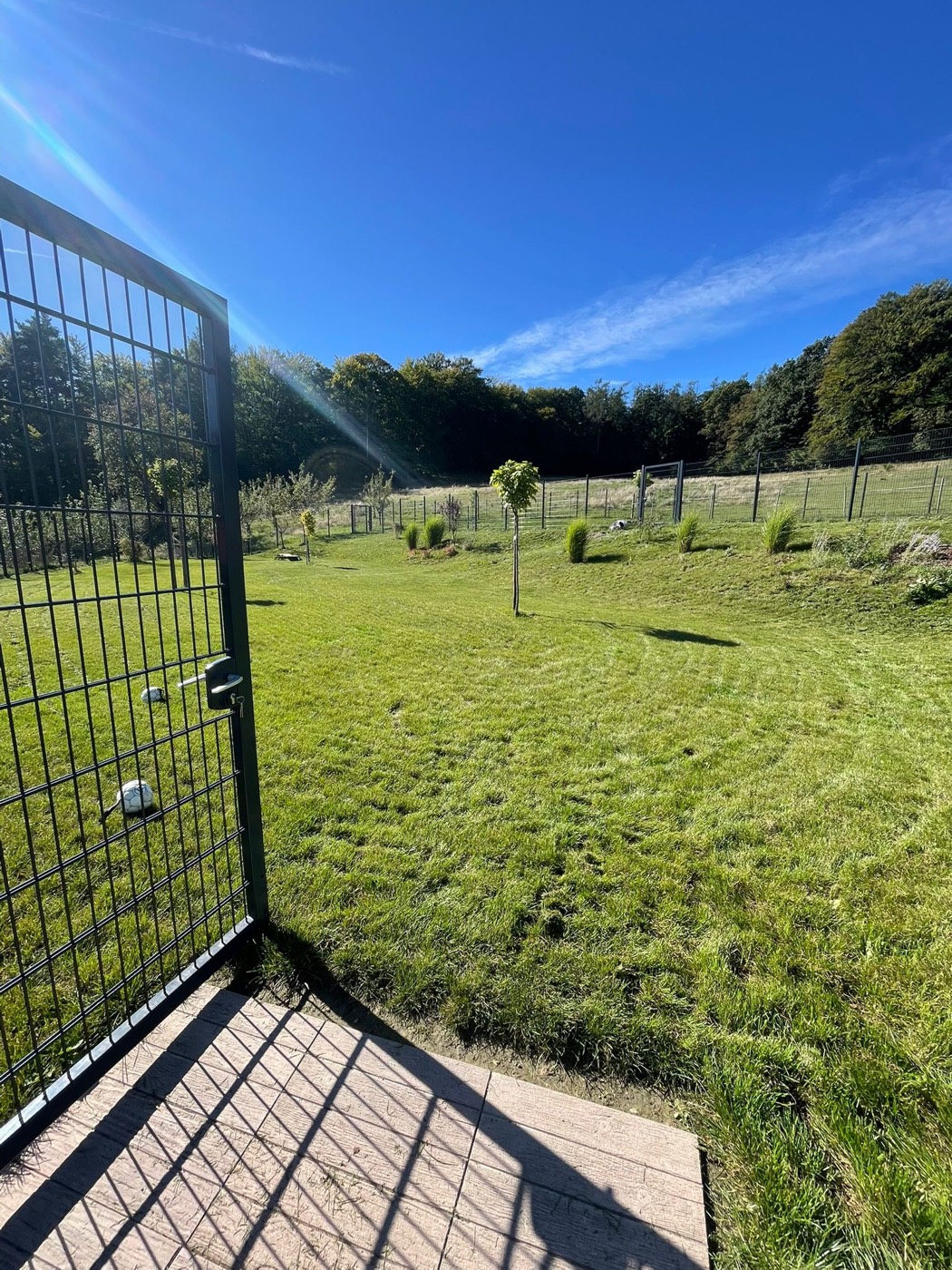 Große eingezäunte Gartenwiese der Hundepension Sonnleiten unter blauem Himmel